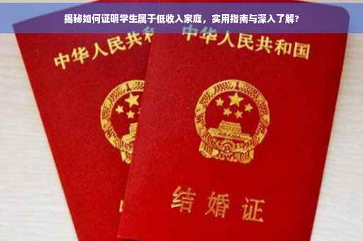 揭秘如何证明学生属于低收入家庭，实用指南与深入了解?