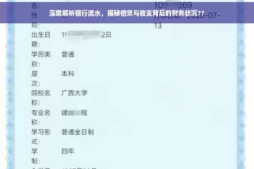 深度解析银行流水，揭秘借贷与收支背后的财务状况??