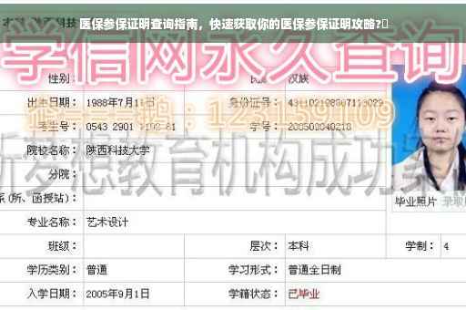 医保参保证明查询指南，快速获取你的医保参保证明攻略?✨