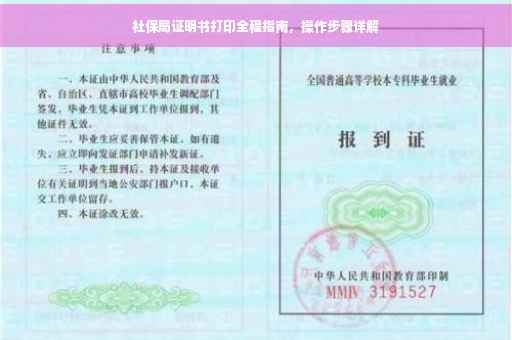 社保局证明书打印全程指南，操作步骤详解