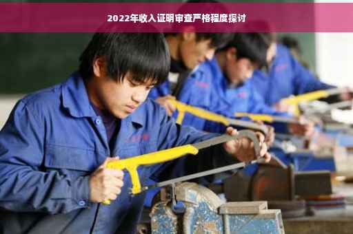 2022年收入证明审查严格程度探讨