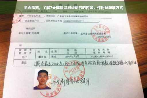全面指南，了解7天健康监测证明书的内容、作用及获取方式
