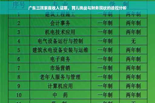 广东三孩家庭收入证明，育儿挑战与财务现状的透视分析