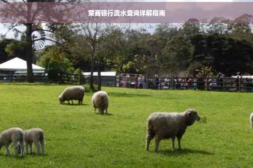 莱商银行流水查询详解指南