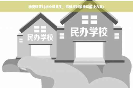 特岗转正时毕业证丢失，危机应对策略与解决方案?