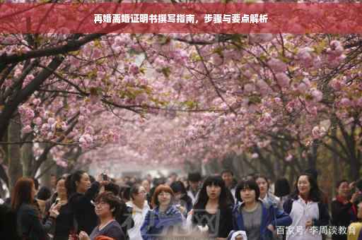 再婚离婚证明书撰写指南，步骤与要点解析