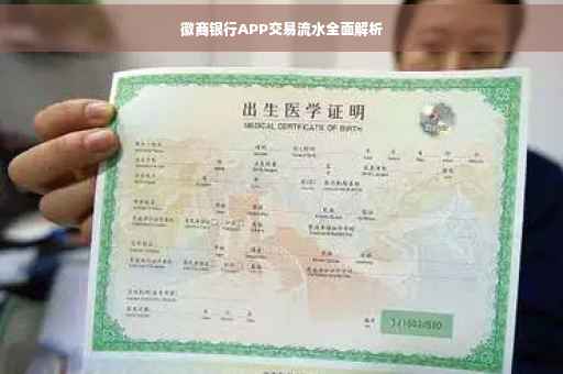徽商银行APP交易流水全面解析