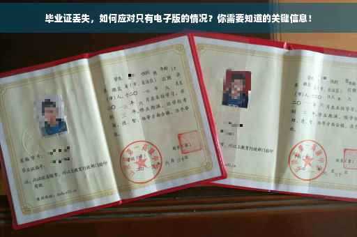 毕业证丢失，如何应对只有电子版的情况？你需要知道的关键信息！