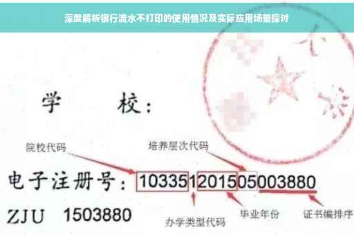 深度解析银行流水不打印的使用情况及实际应用场景探讨