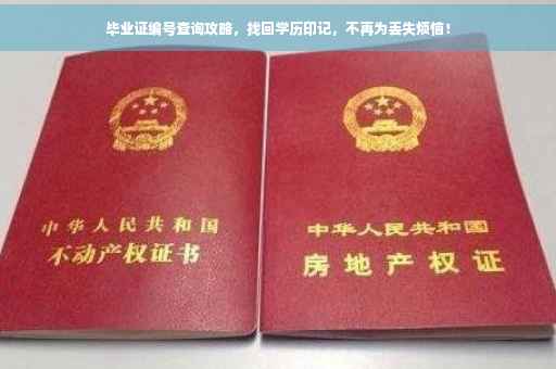 毕业证编号查询攻略，找回学历印记，不再为丢失烦恼！