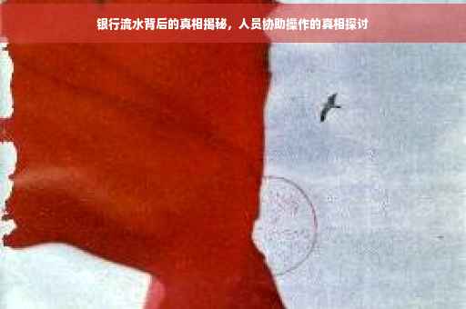 银行流水背后的真相揭秘，人员协助操作的真相探讨