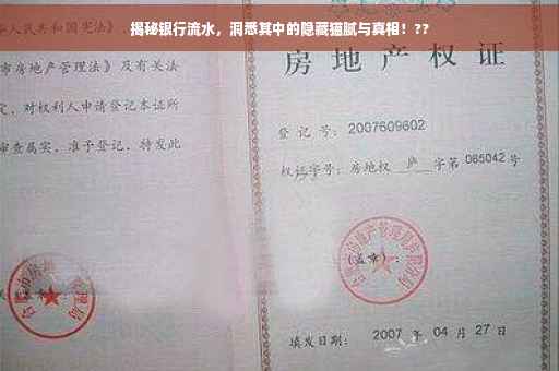 揭秘银行流水，洞悉其中的隐藏猫腻与真相！??