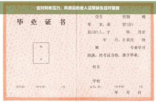 应对财务压力，购房后的收入证明缺失应对策略