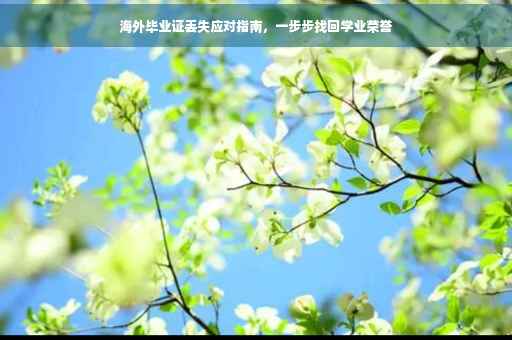 海外毕业证丢失应对指南，一步步找回学业荣誉