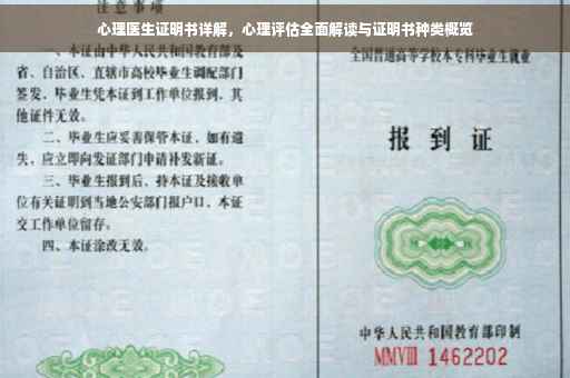 心理医生证明书详解，心理评估全面解读与证明书种类概览