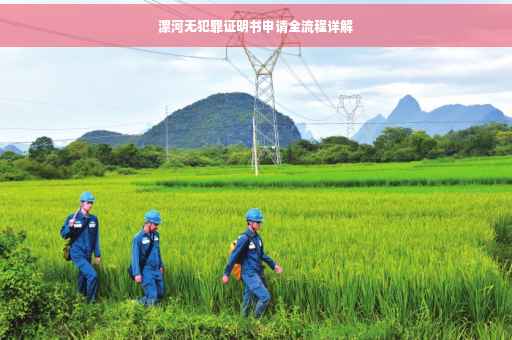 漯河无犯罪证明书申请全流程详解
