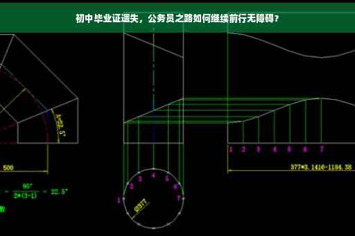 初中毕业证遗失，公务员之路如何继续前行无障碍？