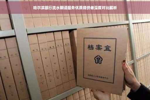 哈尔滨银行流水翻译服务优质提供者深度对比解析