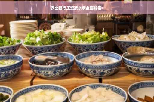 农业银行工资流水表全面解读?