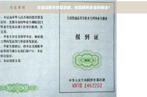 毕业证明书获取攻略，校园顺利毕业的秘诀?