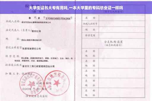 大学生证书大专有用吗,一本大学里的专科毕业证一样吗