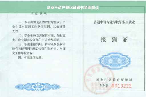 企业不动产登记证明书全面解读