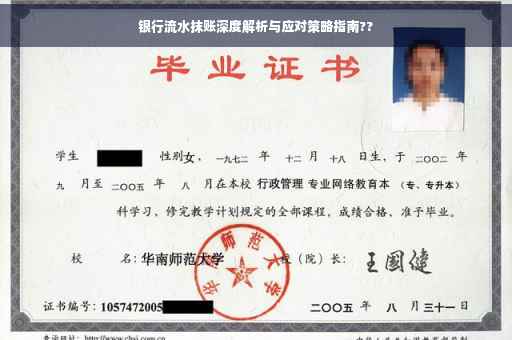 银行流水抹账深度解析与应对策略指南??