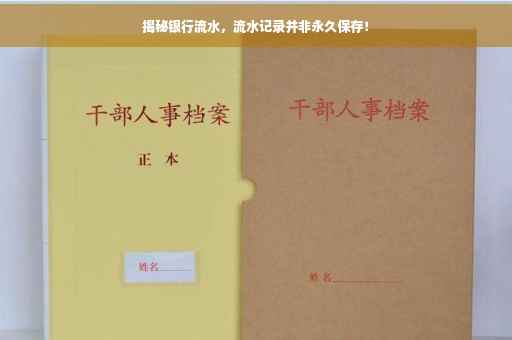 揭秘银行流水，流水记录并非永久保存！