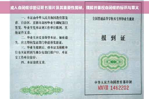 成人自闭症诊断证明书图片及其重要性揭秘，理解并重视自闭症的标识与意义