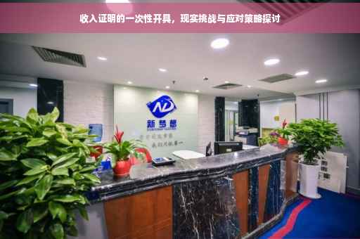 收入证明的一次性开具，现实挑战与应对策略探讨