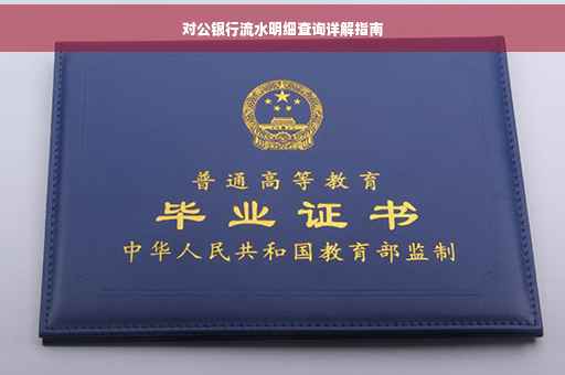 对公银行流水明细查询详解指南