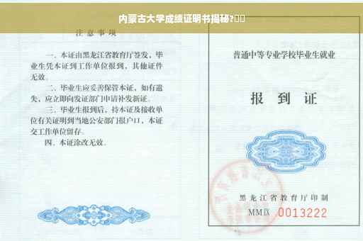 内蒙古大学成绩证明书揭秘?⚡️