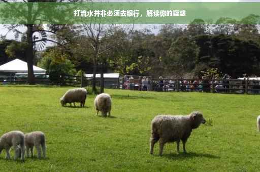 打流水并非必须去银行，解读你的疑惑