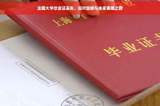 法国大学毕业证丢失，应对策略与未来重建之路