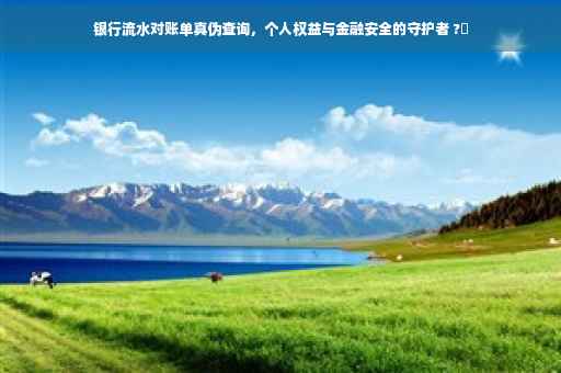 银行流水对账单真伪查询，个人权益与金融安全的守护者 ?✨