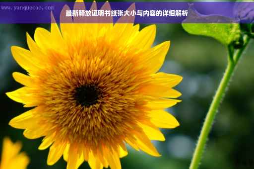 最新释放证明书纸张大小与内容的详细解析