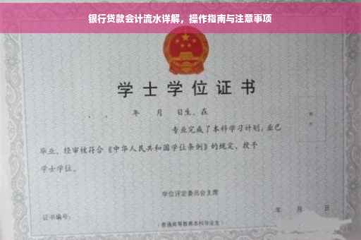 银行贷款会计流水详解，操作指南与注意事项