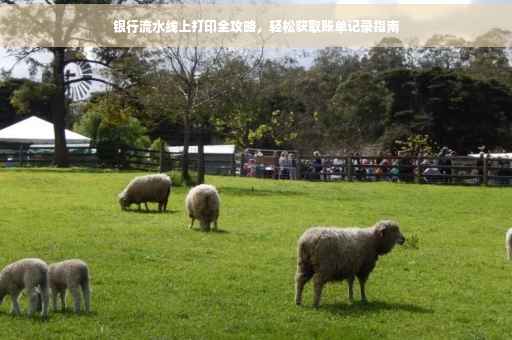 银行流水线上打印全攻略，轻松获取账单记录指南