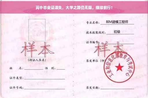 高中毕业证遗失，大学之路仍无阻，继续前行！