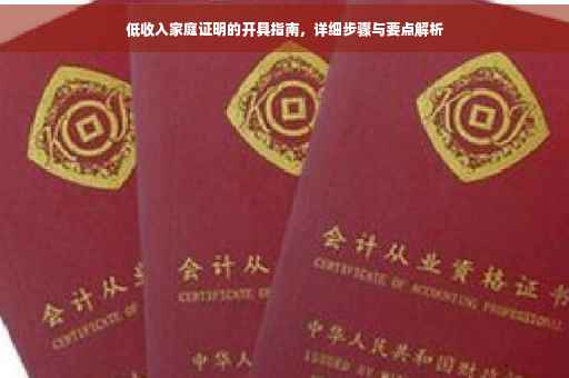 低收入家庭证明的开具指南，详细步骤与要点解析