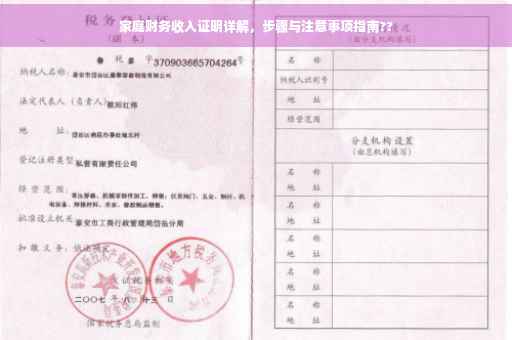 家庭财务收入证明详解，步骤与注意事项指南??