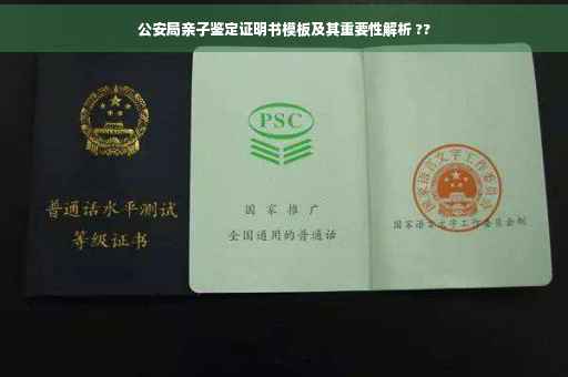 公安局亲子鉴定证明书模板及其重要性解析 ??