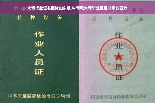 大专毕业证书图片山东版,中专和大专毕业证证书怎么区分