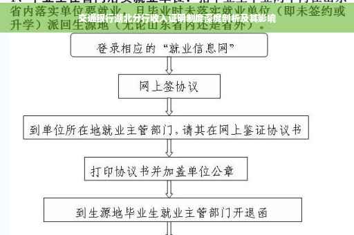 交通银行湖北分行收入证明制度深度剖析及其影响