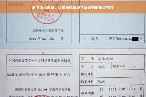 退学流程详解，步骤与领取退学证明书的重要性??