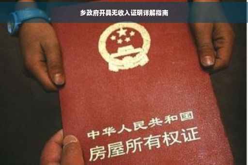 乡政府开具无收入证明详解指南