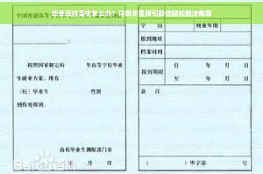 毕业证纸丢失怎么办？详细步骤指引助你轻松解决难题