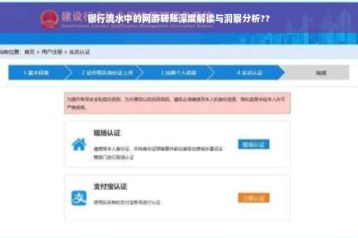 银行流水中的网游转账深度解读与洞察分析??