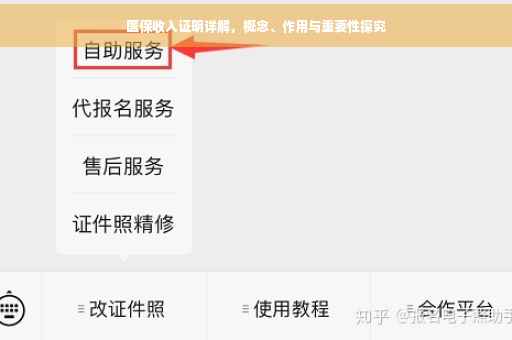 医保收入证明详解，概念、作用与重要性探究