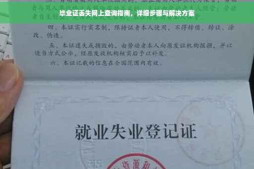 毕业证丢失网上查询指南，详细步骤与解决方案